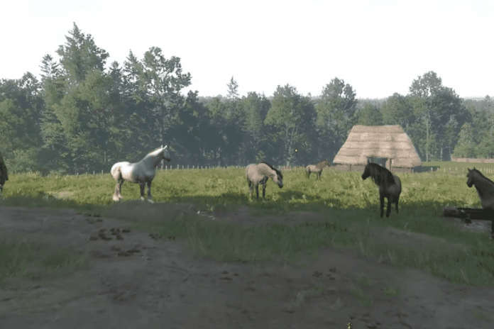 Kingdom Come Deliverance 2 - How to Get Pebbles Back for Free