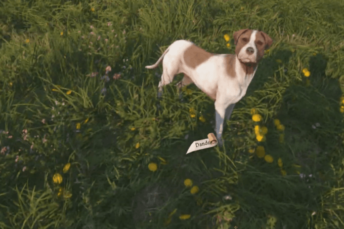 Kingdom Come Deliverance 2 - Where to Find Food to Feed The Dog