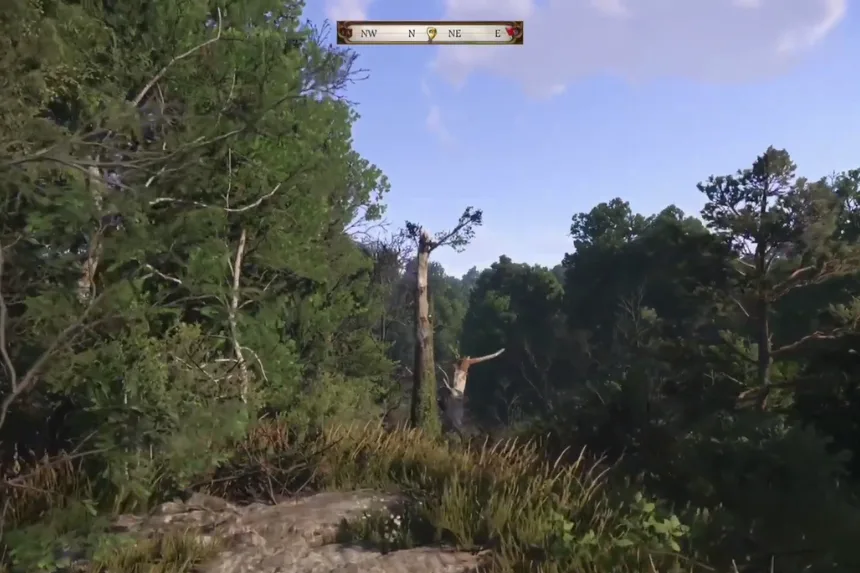 Two Dead Trees KCD2 Location