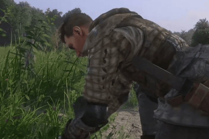 Kingdom Come Deliverance 2 - How to Get Nettle 