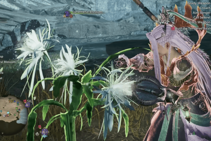 How to Get Nightflower Pollen in Monster Hunter Wilds