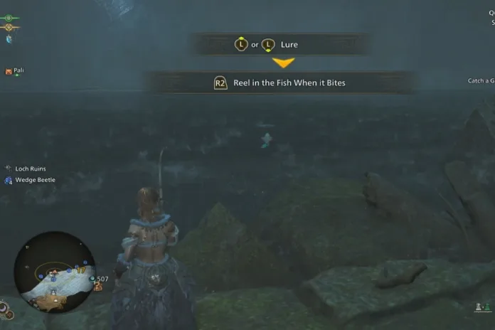 Razzle Dazzle MH Wilds  Guide