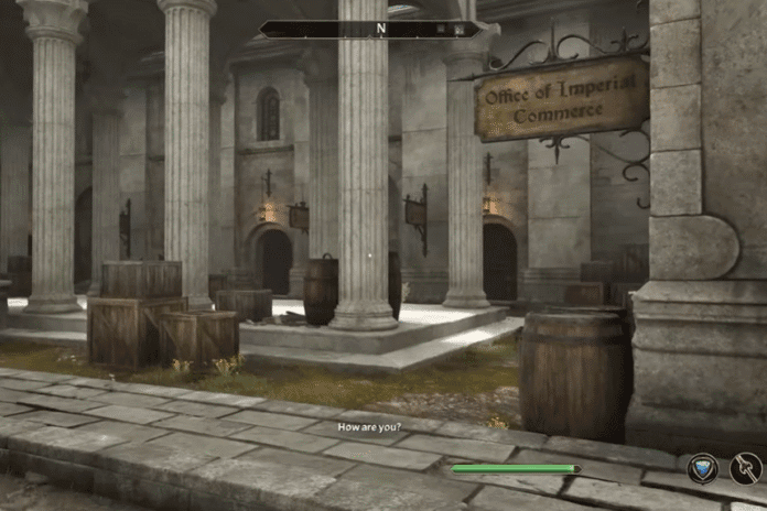 How to Store Items in Oblivion Remaster - Elder Scrolls 4