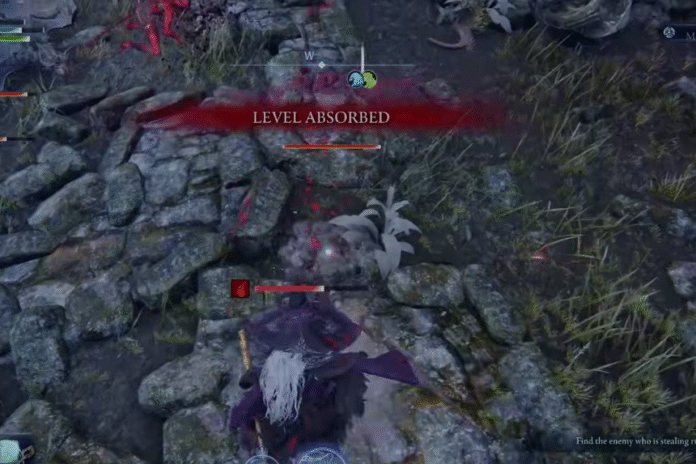 How to Deal with Invading Pests and Recover Lost Levels in Elden Ring Nightreign