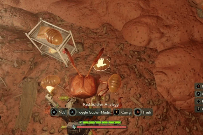 Soldier Ant Egg Location Grounded 2