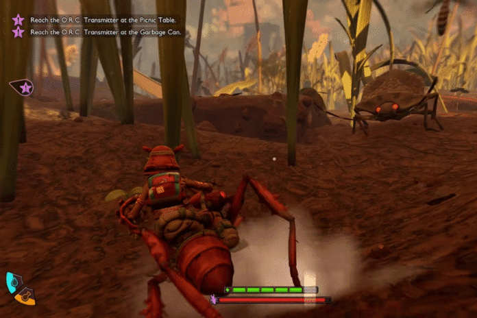 Stinkbugs Location Grounded 2