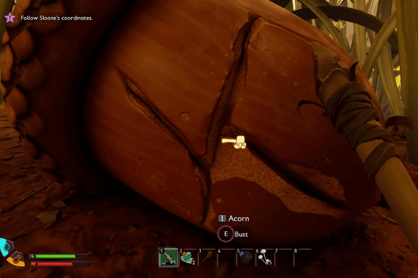 How to Find Acorns in Grounded 2