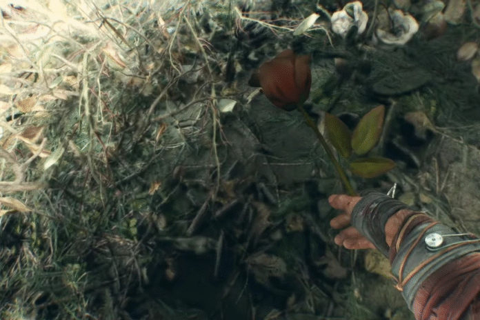 Last Wish Quest Guide - Dying Light: The Beast