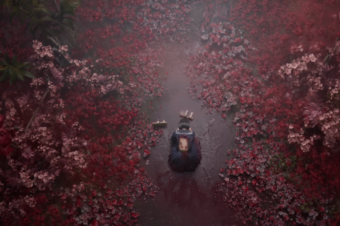 Shrine Path Collectable Locations - Silent Hill f