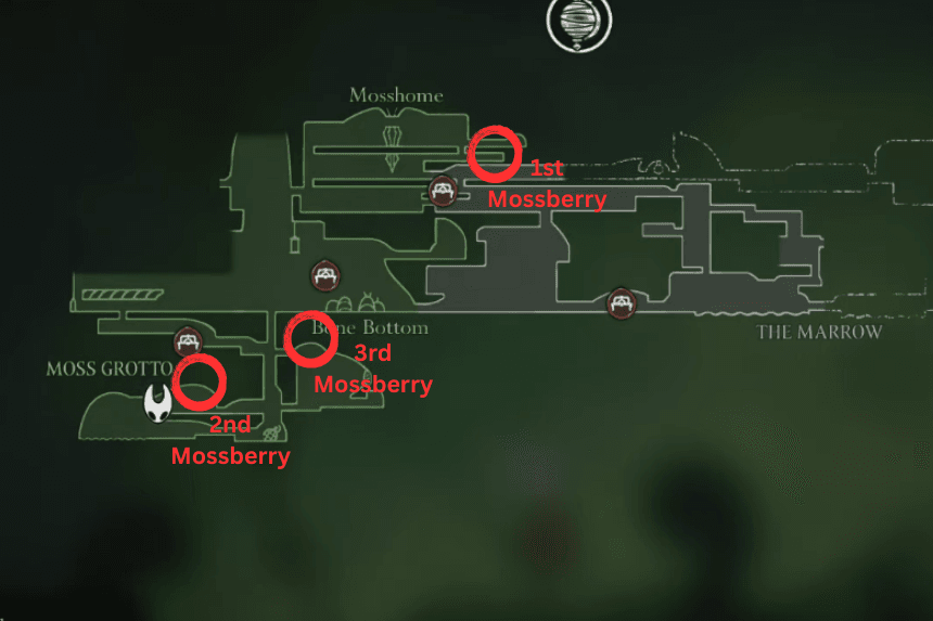 Hollow Knight Silksong Berry Picking Wish Quest All 3 Mossberry 