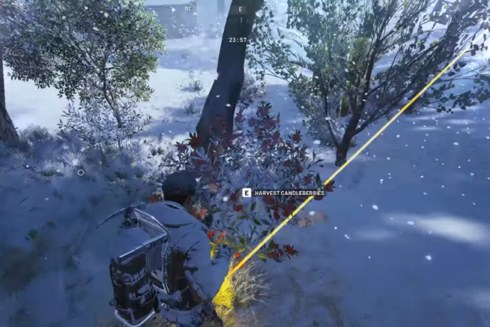 All Ways to Find Candleberries (Locations) - ARC Raiders 