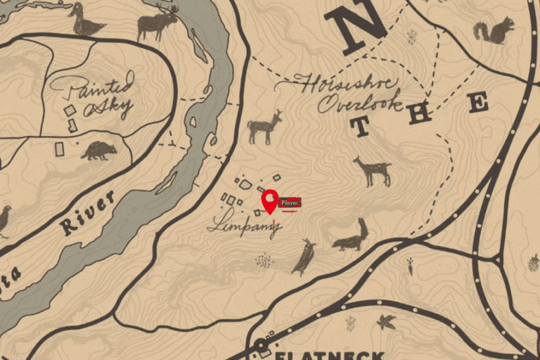 All Red Dead Redemption 2 Treasure Map Locations & Solutions – Patch Crazy