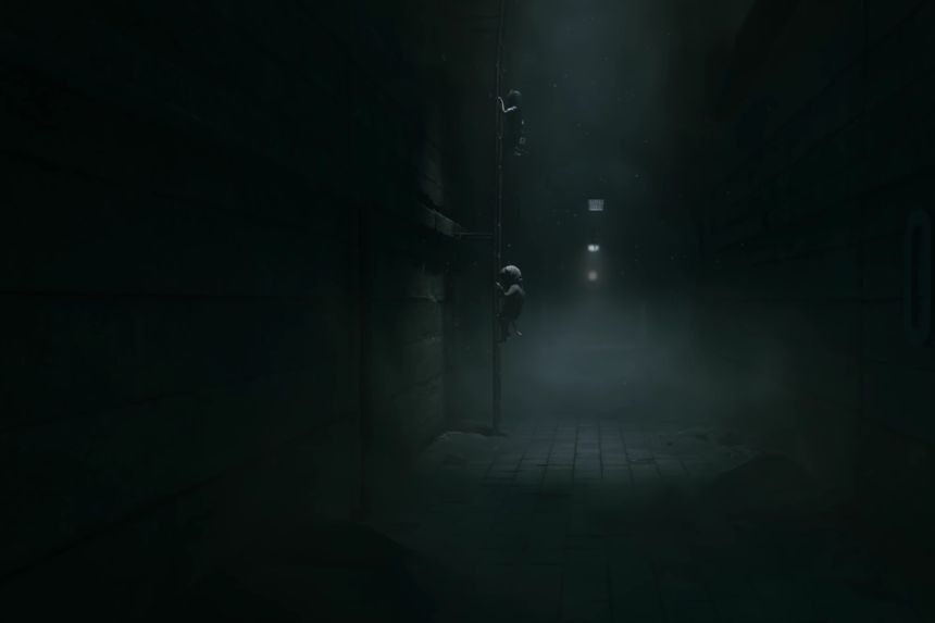 All Critters Locations – REANIMAL All Critters Locations - REANIMAL